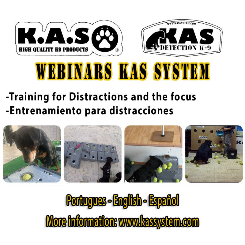 copy of -Training for Distractions and the focus