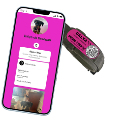Pet ID Tag Velcro