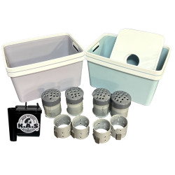 KAS Box xs more Automatic Reward