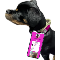 Pet ID Tag Velcro