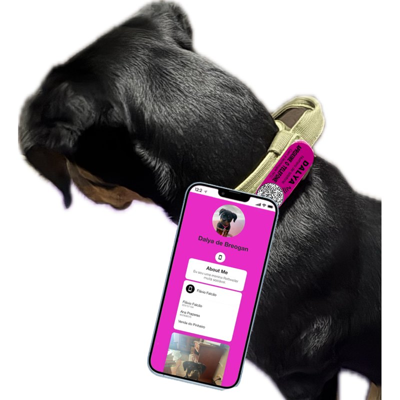 Pet ID Tag Velcro