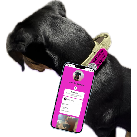 Pet ID Tag Velcro