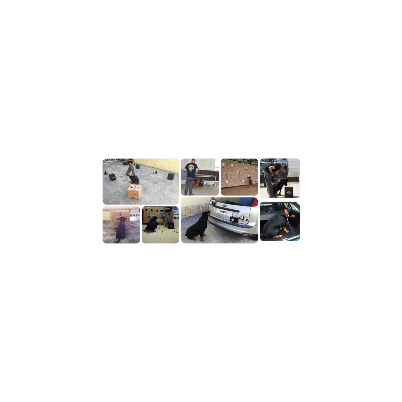 KAS Detection Course ON-LINE