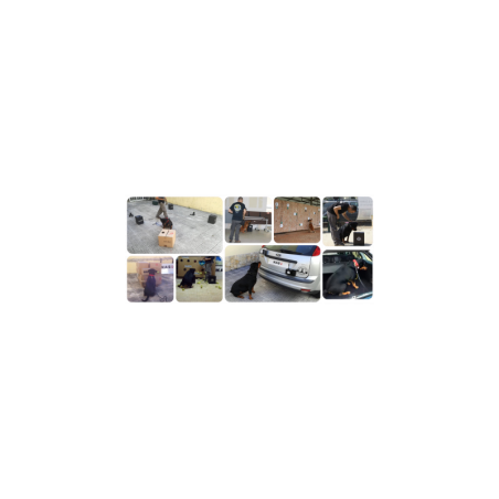 KAS Detection Course ON-LINE