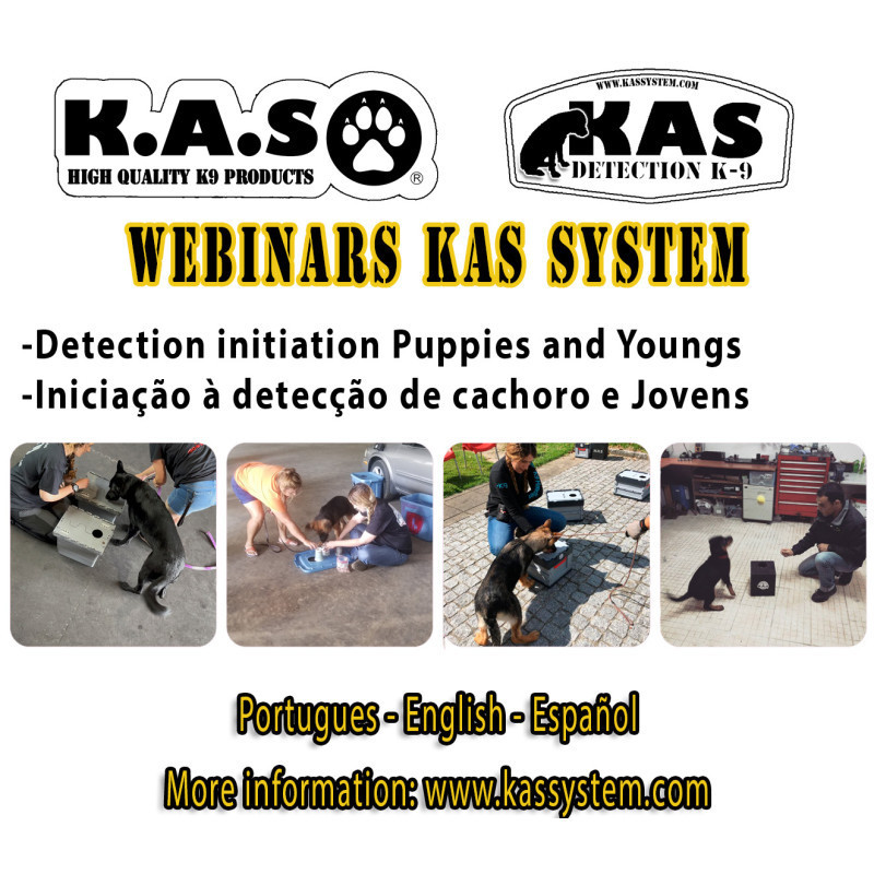 Initiation to Detection: Puppies and Youngs
